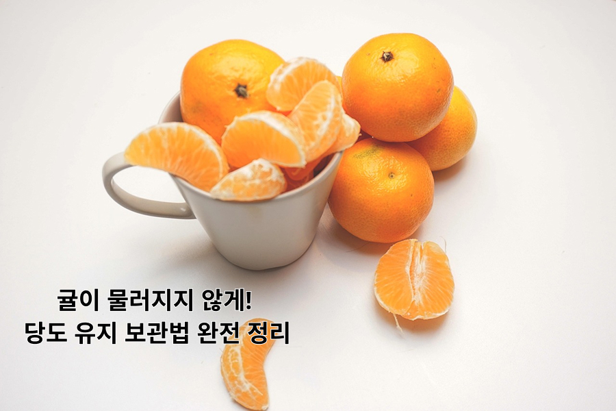 귤 당도 똑똑하게 보관하는 방법